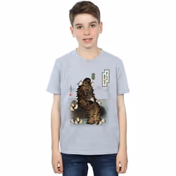 Star Wars - T-shirt THE LAST JEDI - Garçon (Gris chiné)