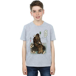 Star Wars - T-shirt THE LAST JEDI - Garçon (Gris chiné)