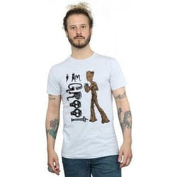 Avengers Infinity War - T-shirt AM TEENAGE GROOT - Adulte (Gris chiné)
