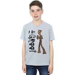 Marvel - T-shirt AVENGERS INFINITY WAR AM TEENAGE GROOT - Garçon (Gris chiné)
