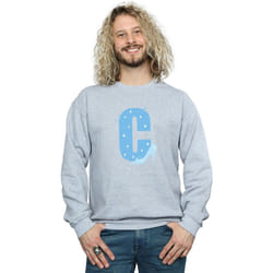 Disney - Sweat ALPHABET C IS FOR CINDERELLA - Homme (Gris chiné)