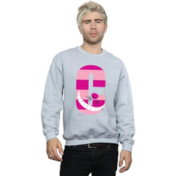 Disney - Sweat ALPHABET A IS FOR ARIEL ALICE - Homme (Gris chiné)