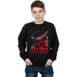 Marvel - Sweat AVENGERS INFINITY WAR - Garçon (Noir)