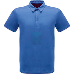 Regatta - Polo à manches courtes - Hommes (Bleu Oxford)
