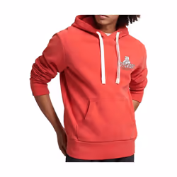 Sweatshirt à capuche Superdry Collegiate