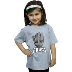 Marvel - T-shirt GUARDIANS OF THE GALAXY - Fille (Gris chiné)