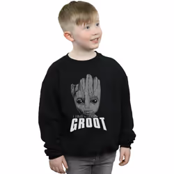 Marvel - Sweat GUARDIANS OF THE GALAXY - Garçon (Noir)