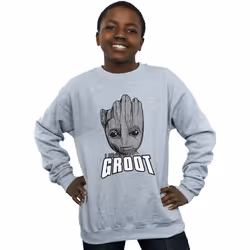 Marvel - Sweat GUARDIANS OF THE GALAXY - Garçon (Gris chiné)
