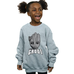 Marvel - Sweat GUARDIANS OF THE GALAXY - Fille (Gris chiné)