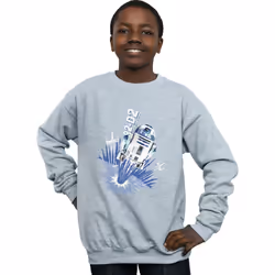 Star Wars - Sweat R2-D2 - Garçon (Gris chiné)