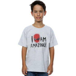 Marvel - T-shirt AM AMAZING - Garçon (Gris chiné)