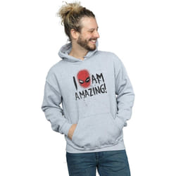 Marvel - Sweat à capuche AM AMAZING - Homme (Gris chiné)