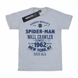 Marvel - T-shirt FINEST QUALITY - Homme (Gris chiné)