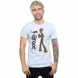 Marvel - T-shirt AVENGERS INFINITY WAR - Homme (Gris chiné)
