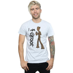 Marvel - T-shirt AVENGERS INFINITY WAR - Homme (Gris chiné)