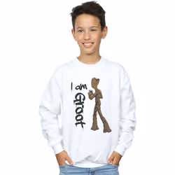 Marvel - Sweat AVENGERS INFINITY WAR - Garçon (Blanc)