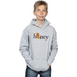 Disney - Sweat à capuche - Garçon (Gris chiné)