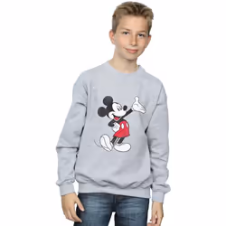 Disney - Sweat - Garçon (Gris chiné)