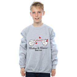 Disney - Sweat - Garçon (Gris chiné)