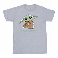 Star Wars - T-shirt THE MANDALORIAN - Garçon (Gris chiné)