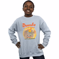 Disney - Sweat - Garçon (Gris chiné)