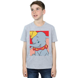 Disney - T-shirt - Garçon (Gris chiné)