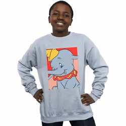 Disney - Sweat - Garçon (Gris chiné)