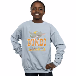 Disney - Sweat THE ONE AND ONLY - Garçon (Gris chiné)