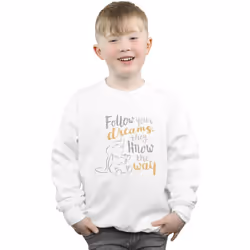 Disney - Sweat FOLLOW YOUR DREAM - Garçon (Blanc)