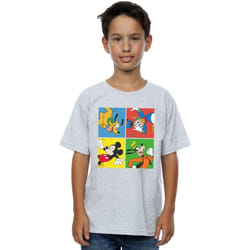 Disney - T-shirt - Garçon (Gris chiné)