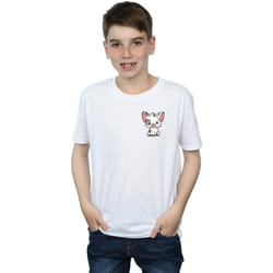 Disney - T-shirt - Garçon (Blanc)