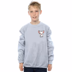 Disney - Sweat - Garçon (Gris chiné)