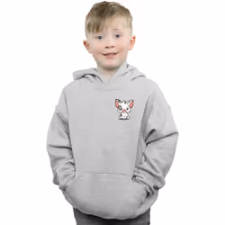 Disney - Sweat à capuche - Garçon (Gris chiné)
