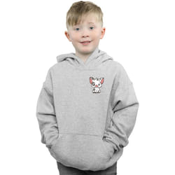 Disney - Sweat à capuche - Garçon (Gris chiné)