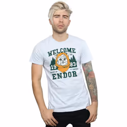 Star Wars - T-shirt ENDOR CAMP - Homme (Gris chiné)