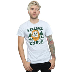 Star Wars - T-shirt ENDOR CAMP - Homme (Gris chiné)