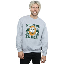 Star Wars - Sweat ENDOR CAMP - Homme (Gris chiné)