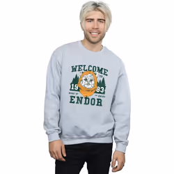 Star Wars - Sweat ENDOR CAMP - Homme (Gris chiné)