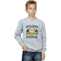 Star Wars - Sweat ENDOR CAMP - Garçon (Gris chiné)