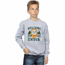 Star Wars - Sweat ENDOR CAMP - Garçon (Gris chiné)
