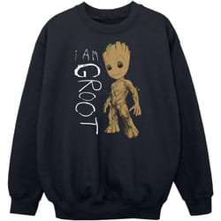 Marvel - Sweat GUARDIANS OF THE GALAXY AM GROOT - Garçon (Noir)