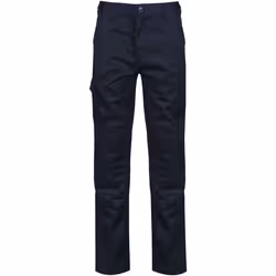 Regatta - Pantalon PRO CARGO - Homme (Gris bleu)