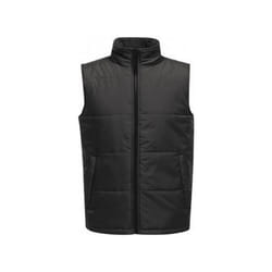 Regatta - Veste sans manches ACCESS - Homme (Gris/noir)