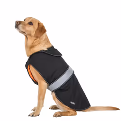 Trespass - Manteau softshell BUTCH - Chien - Taille 2XS (Noir)