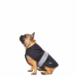Trespass - Manteau softshell BUTCH - Chien - Taille 2XS (Noir)