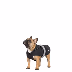 Trespass - Manteau softshell BUTCH - Chien - Taille 2XS (Noir)