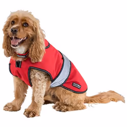Trespass - Veste imperméable DUKE - Chien - Taille 2XS (Rouge)