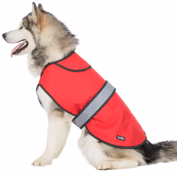 Trespass - Veste imperméable DUKE - Chien - Taille 2XS (Rouge)