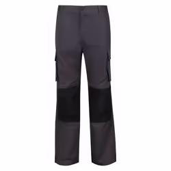 Regatta - Pantalon HEROIC - Hommes (Gris)