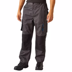 Regatta - Pantalon HEROIC - Hommes (Gris)